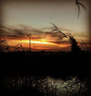 Image post by @faragelo22 on Instagram