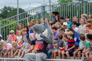 Image post by @ilmsharks on Instagram