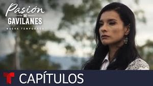 Video post by @telemundo on YouTube