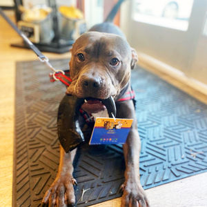Image post by @honeyimhome on Instagram