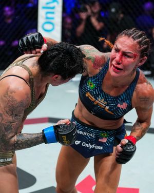 Image post by @pflmma on Instagram