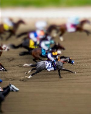 Video post by @worldhorseracing on TikTok