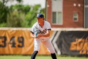 Image post by @OwlzNoCo on Twitter