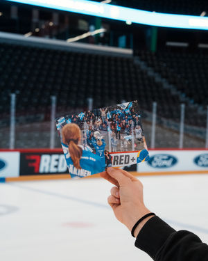 Image post by @swissicehockeyfederation on Instagram