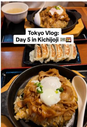 Video post by @shannydomingsil on TikTok