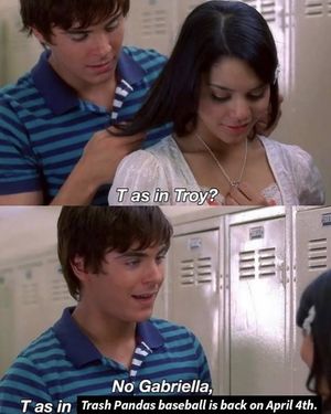 Image post by @trashpandasbaseball on Instagram