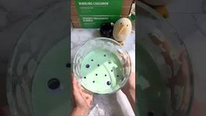 Video post by @kiwico on YouTube