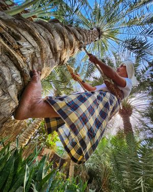 Image post by @abbasalkhamis on Instagram