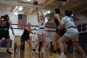 Image post by @laubhan.visuals on Instagram