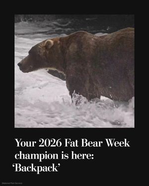 Image post by @washingtonpost on Instagram