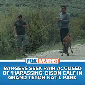 Image post by @foxweather on Instagram