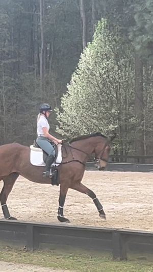 Video post by @clairecumbee on Instagram