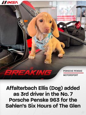 Image post by @imsa_racing on Instagram