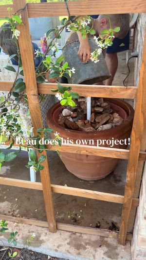 Video post by @emmaseabourn on TikTok