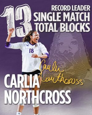 Image post by @ecuvb on Instagram