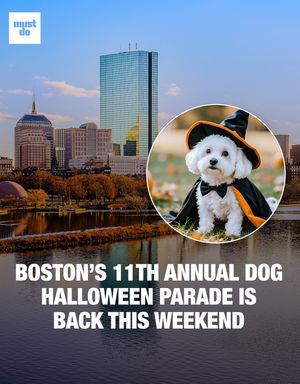 Image post by @mustdoboston on Instagram