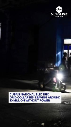 Video post by @abcnewslive on TikTok