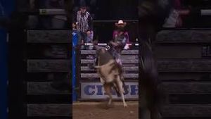 Video post by @officialcowboychannel on YouTube