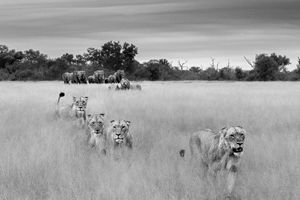 Image post by @guybrunskillphoto on Instagram