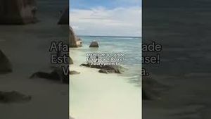 Video post by @beachpleasefestival on YouTube