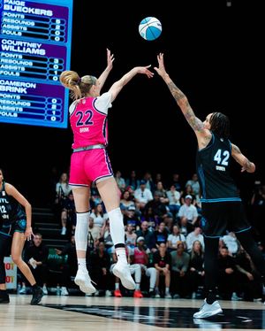 Image post by @breezebasketballclub on Instagram