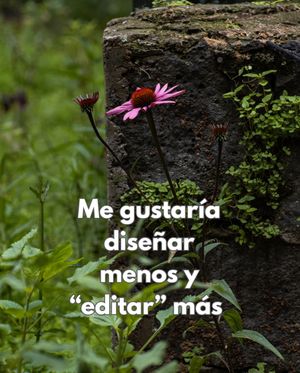Image post by @fernandarionda on Instagram