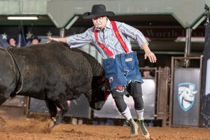 Image post by @ultimatebullfighters on Instagram