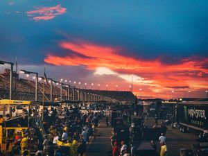 Image post by @TooToughToTame on Twitter