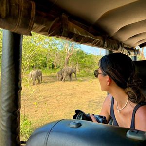 Image post by @hiltonyalaresort on Instagram