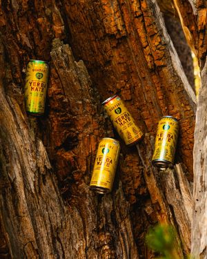 Image post by @yerbamadre on Instagram