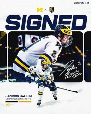 Image post by @umichhockey on Instagram
