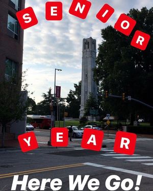 Image post by @daniellecleigh on Instagram