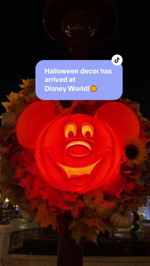 Video post by @disneyparks on TikTok