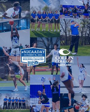 Image post by @collincollege on Instagram