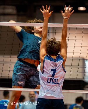 Image post by @d1azdesigns on Instagram