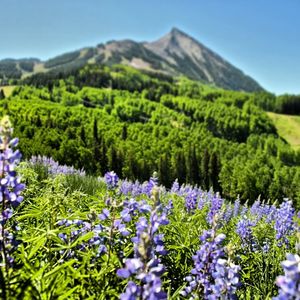 Image post by @skicrestedbutte on Instagram