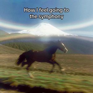 Image post by @baltsymphony on Instagram