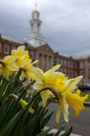 Image post by @usjct on Instagram