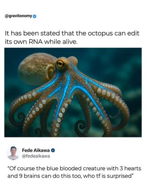 Image post by @gravitonomy on Instagram