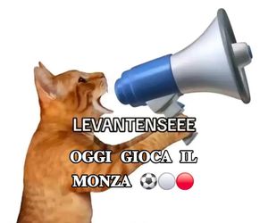Video post by @acmonza on TikTok