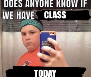 Image post by @barstoolflorida on Instagram