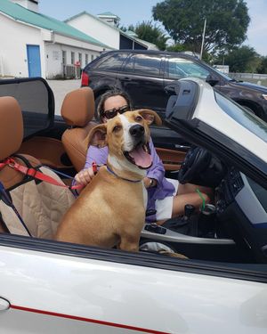 Image post by @suncoasthumane on Instagram