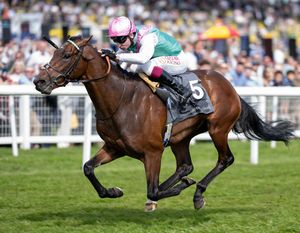 Image post by @juddmonte on Instagram
