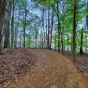 Image post by @blackdiamond_traildesigns on Instagram