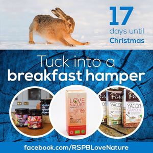 Image post by @rspb on Instagram