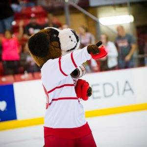 Image post by @fightingsaints on Instagram