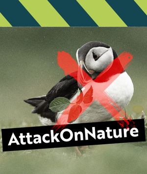 Image post by @rspb on Instagram