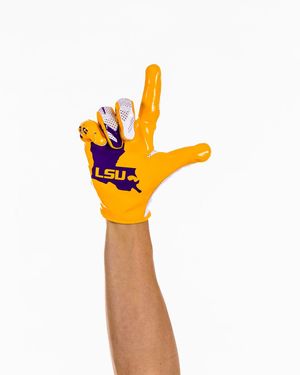 Image post by @lsusports on Instagram