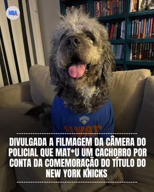 Image post by @nbadopovo on Instagram