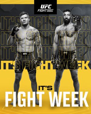 Image post by @ufc on Twitter